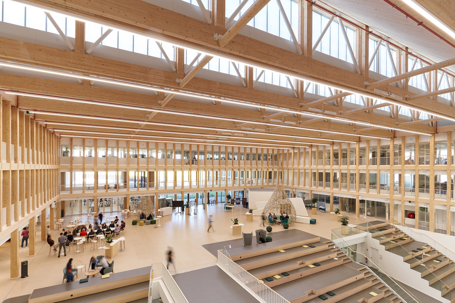 from-tradition-to-innovation-how-modern-technologies-are-transforming-the-potential-of-wood_6